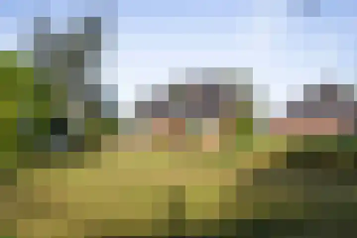 IJsseldijk 34 Diepenveen thumbnail 17