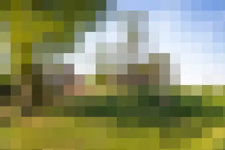 IJsseldijk 34 Diepenveen thumbnail 18