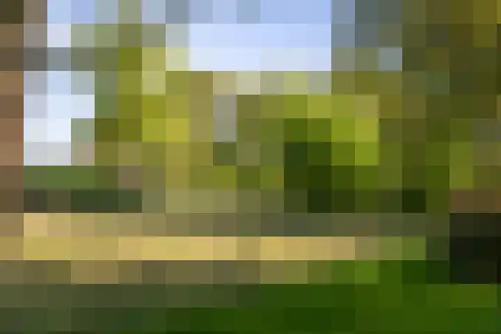 IJsseldijk 34 Diepenveen thumbnail 22