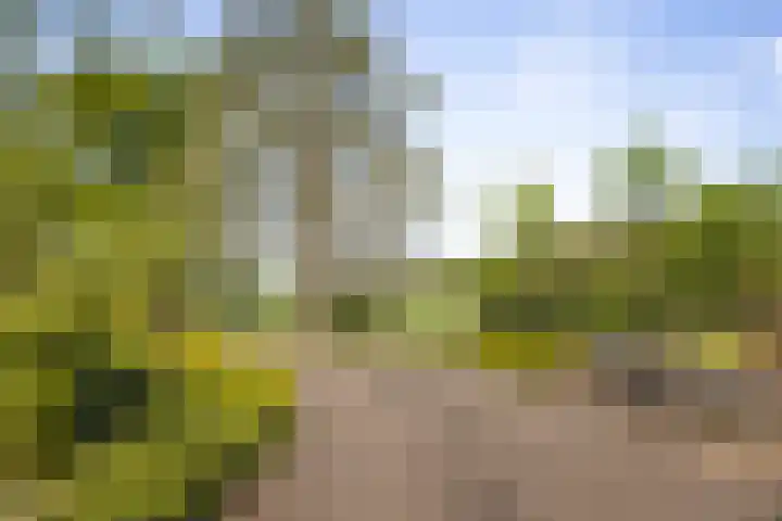 IJsseldijk 34 Diepenveen thumbnail 23