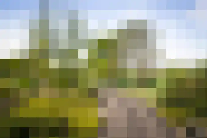 IJsseldijk 34 Diepenveen thumbnail 30