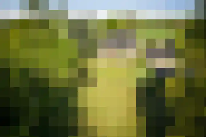 IJsseldijk 34 Diepenveen thumbnail 5