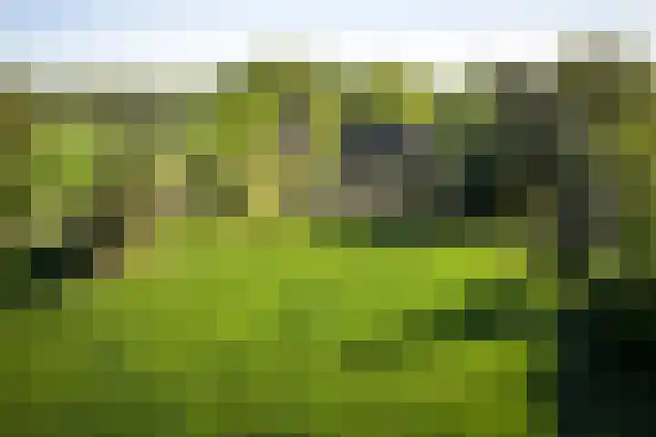 IJsseldijk 34 Diepenveen thumbnail 6