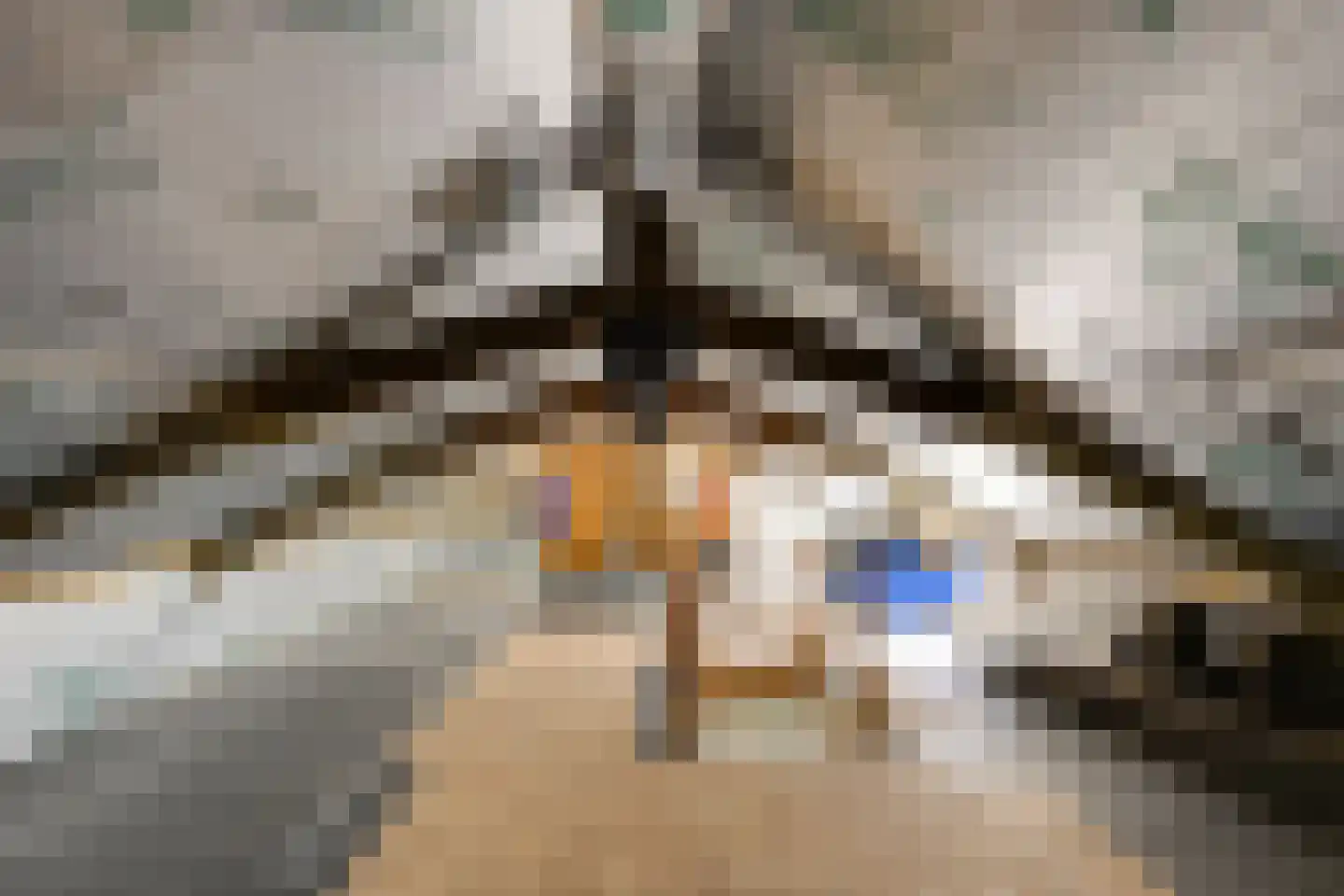 IJsseldijk 367 Krimpen aan den IJssel thumbnail 43