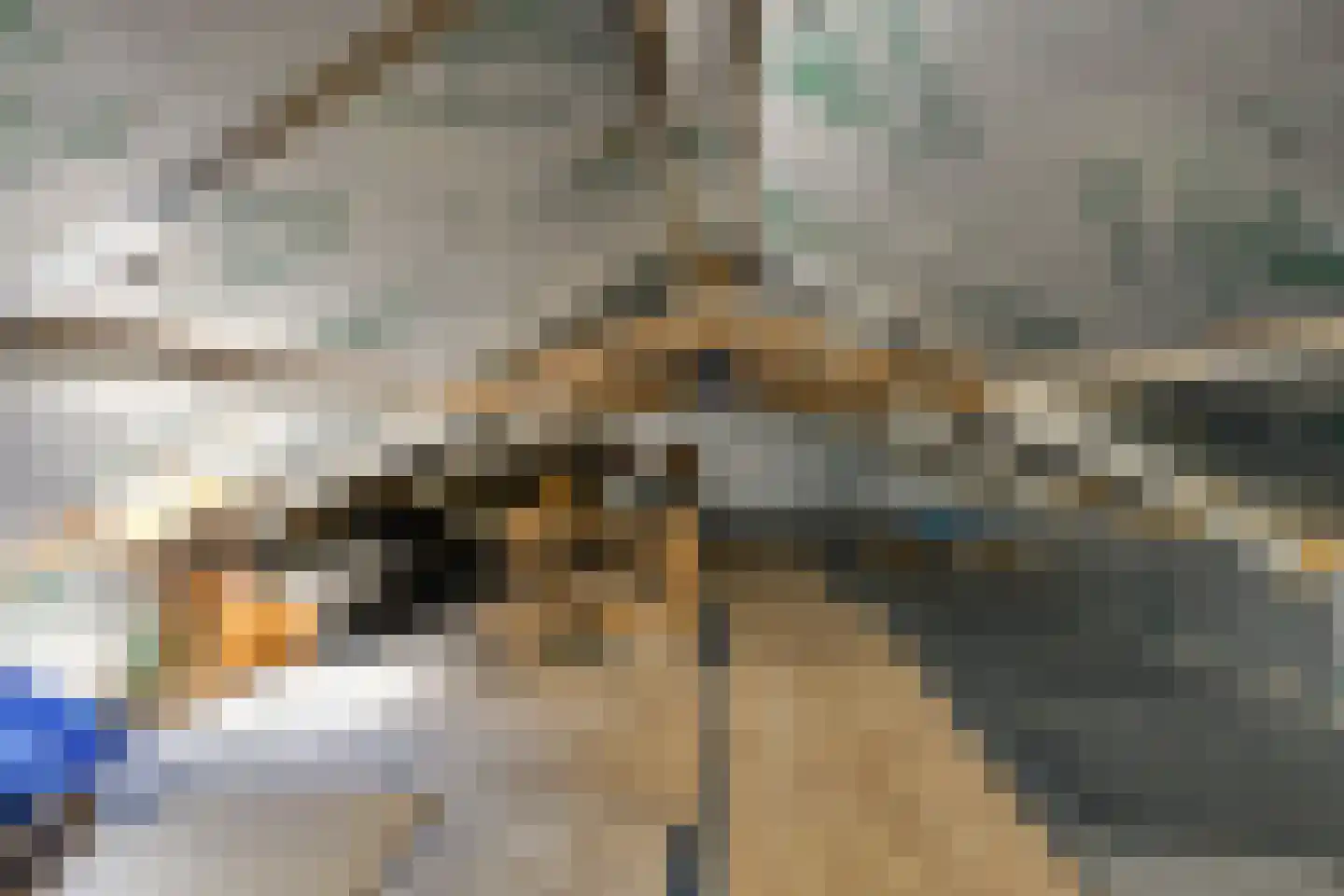 IJsseldijk 367 Krimpen aan den IJssel thumbnail 44