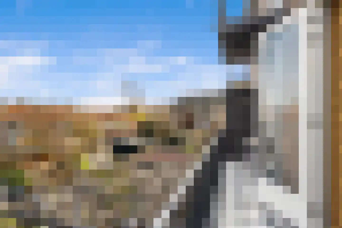 IJsseldijk 404 Krimpen aan den IJssel thumbnail 38