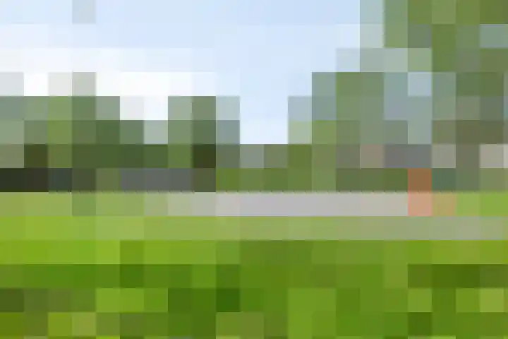 IJsseldijk 76 Kampen thumbnail 42