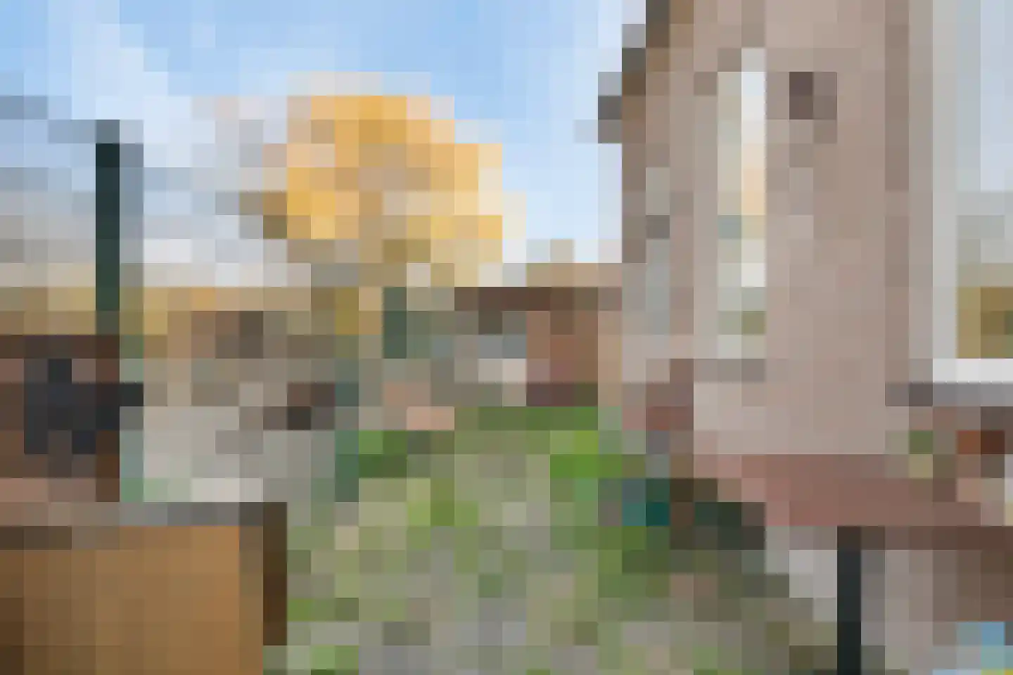 IJsseldijk 80 Krimpen aan den IJssel thumbnail 35