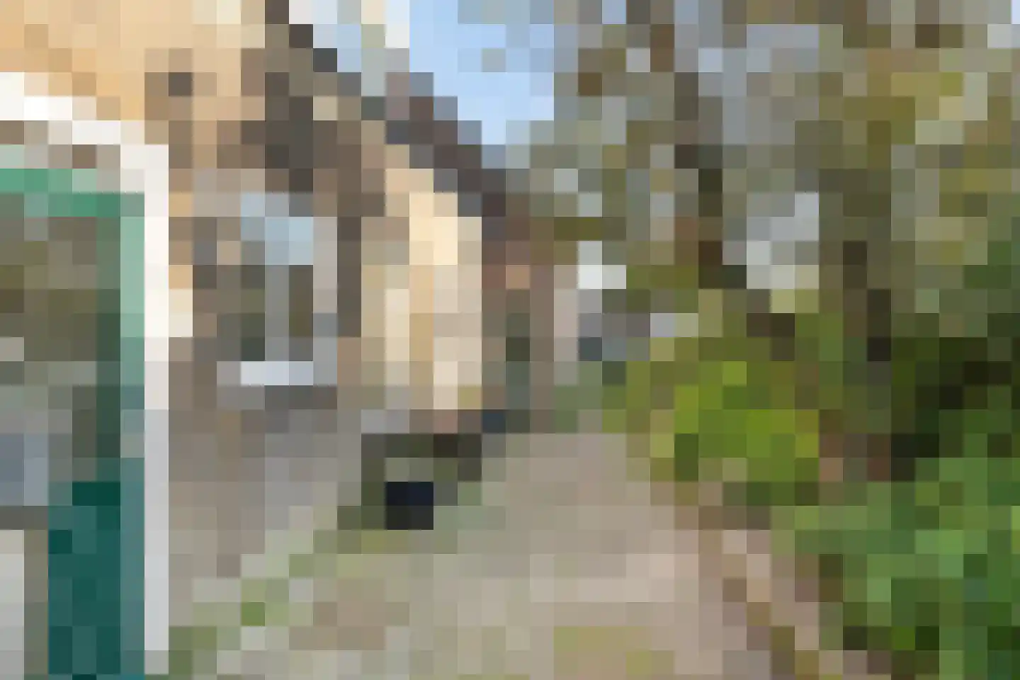 IJsseldijk 80 Krimpen aan den IJssel thumbnail 8