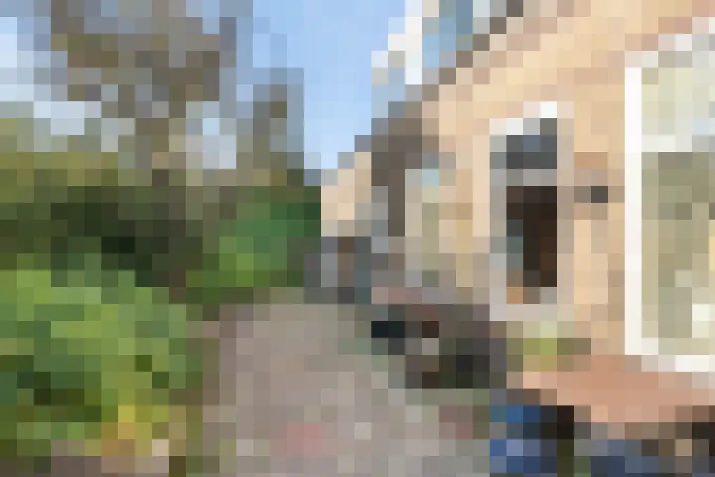 IJsseldijk 80 Krimpen aan den IJssel thumbnail 9