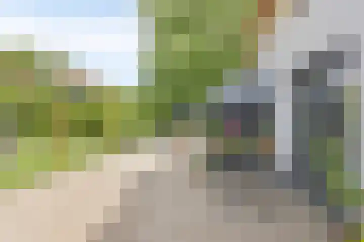 IJsseldijk 83 Veessen thumbnail 38