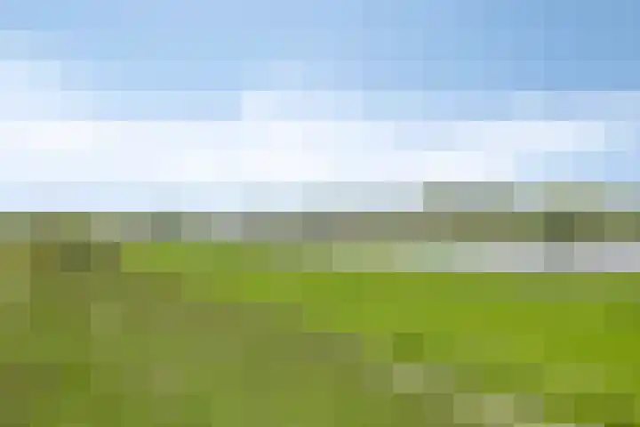 IJsseldijk 83 Veessen thumbnail 64
