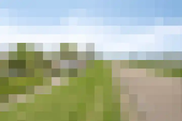 IJsseldijk 83 Veessen thumbnail 66