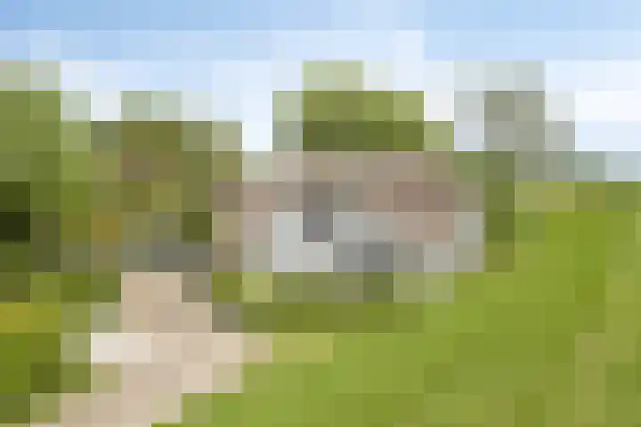 IJsseldijk 83 Veessen thumbnail 68