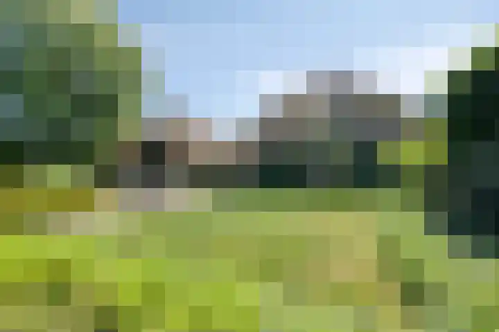 IJsseldijk 85 Veessen thumbnail 10