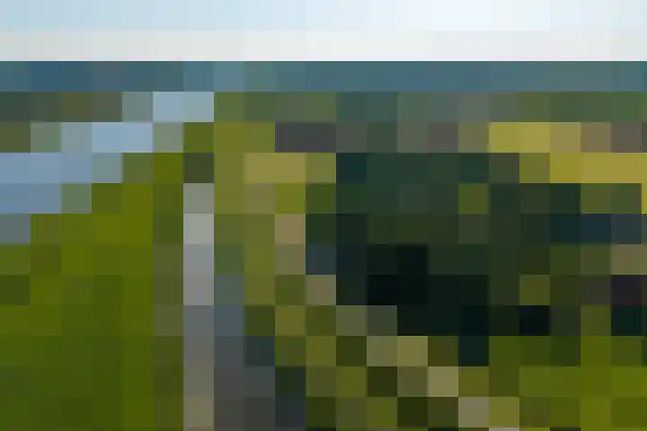 IJsseldijk 85 Veessen thumbnail 100