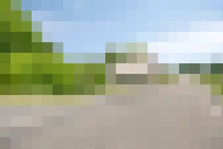 IJsseldijk 85 Veessen thumbnail 101