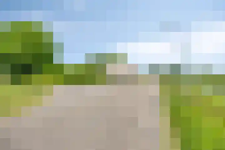 IJsseldijk 85 Veessen thumbnail 102