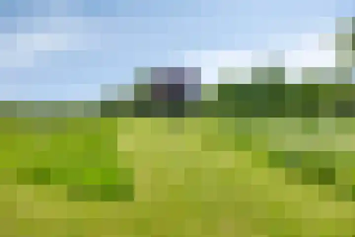 IJsseldijk 85 Veessen thumbnail 110