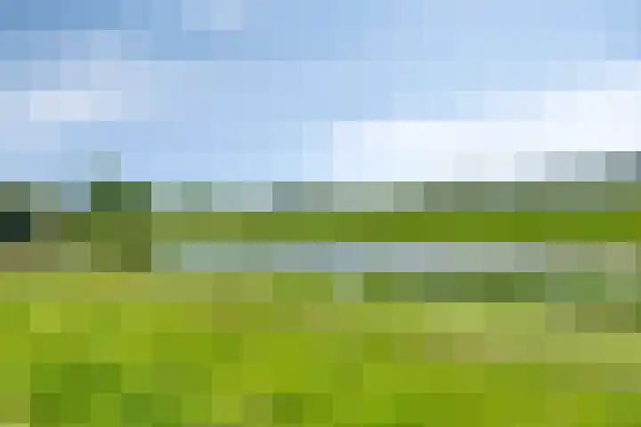 IJsseldijk 85 Veessen thumbnail 112