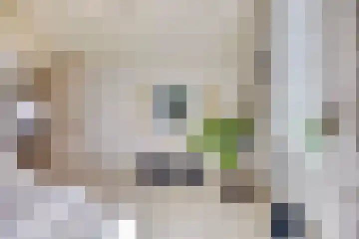 IJsseldijk 85 Veessen thumbnail 19