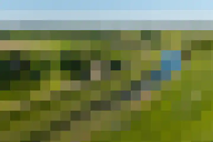 IJsseldijk 85 Veessen thumbnail 4
