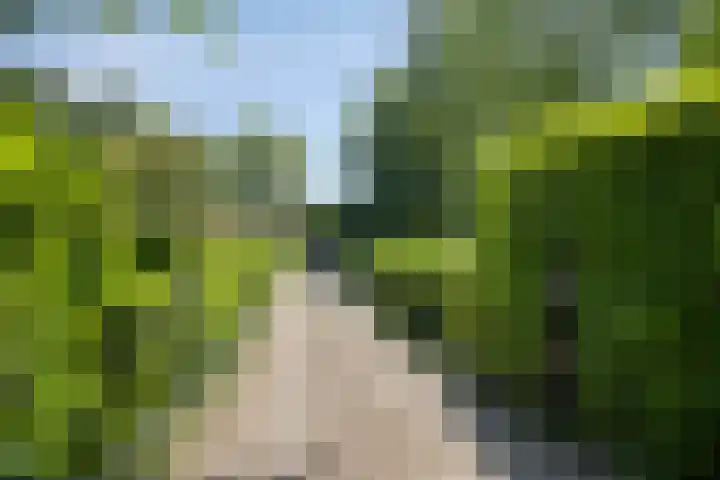 IJsseldijk 85 Veessen thumbnail 6