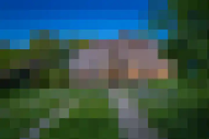 IJsseldijk 85 Veessen thumbnail 70