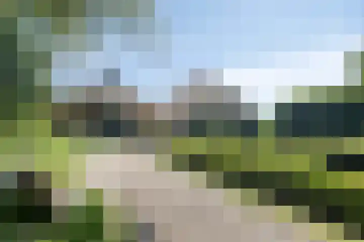 IJsseldijk 85 Veessen thumbnail 73