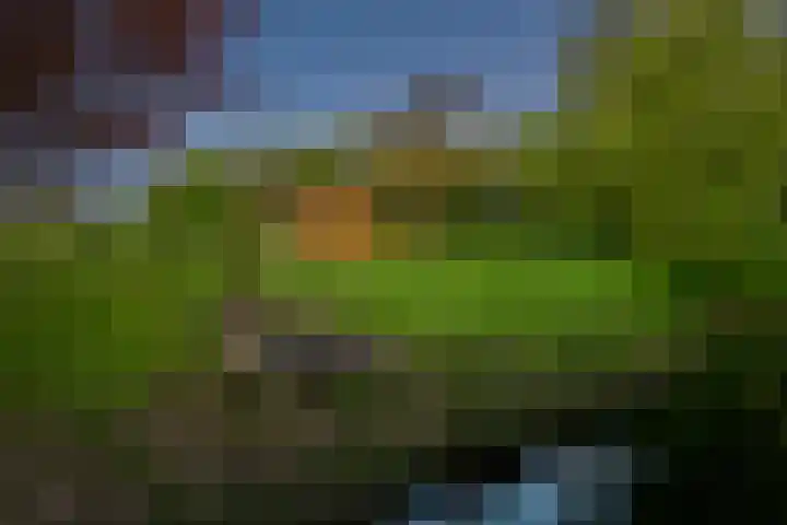 IJsseldijk 85 Veessen thumbnail 83