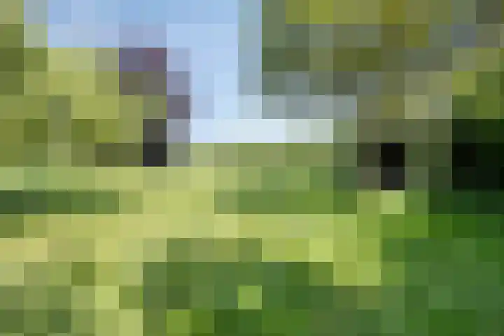 IJsseldijk 85 Veessen thumbnail 87