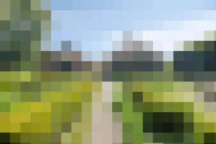 IJsseldijk 85 Veessen thumbnail 9