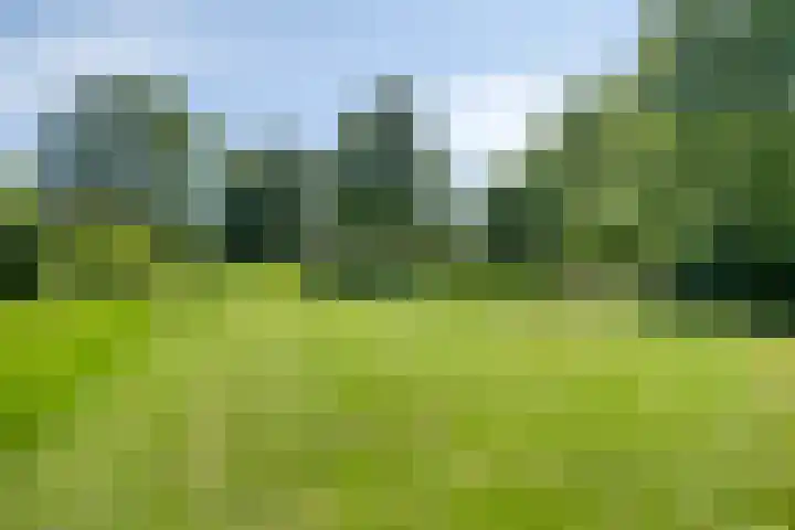 IJsseldijk 85 Veessen thumbnail 90