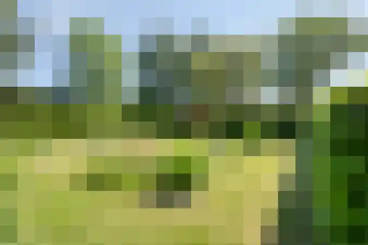 IJsseldijk 85 Veessen thumbnail 92