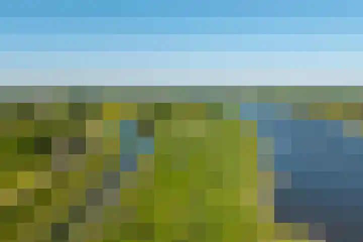 IJsseldijk 85 Veessen thumbnail 97