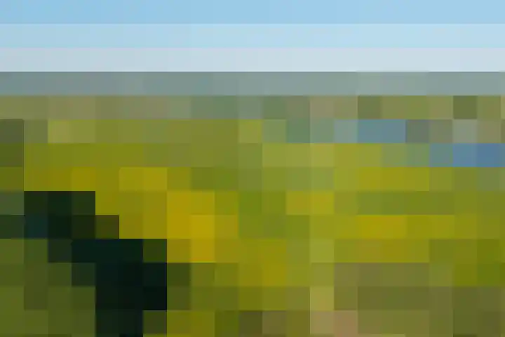 IJsseldijk 85 Veessen thumbnail 99