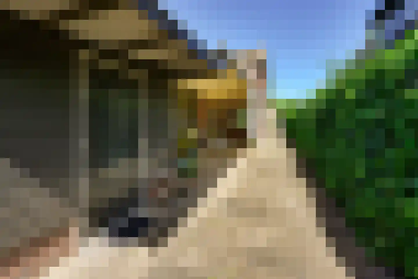 IJsseldijk 98 Krimpen aan den IJssel thumbnail 12