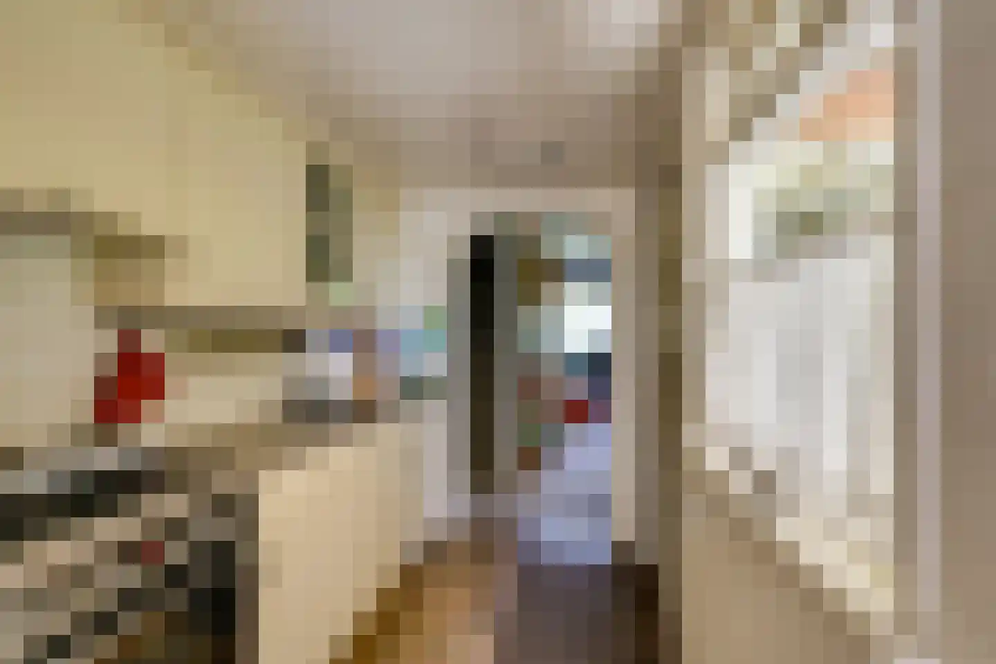 IJsseldijk 98 Krimpen aan den IJssel thumbnail 20