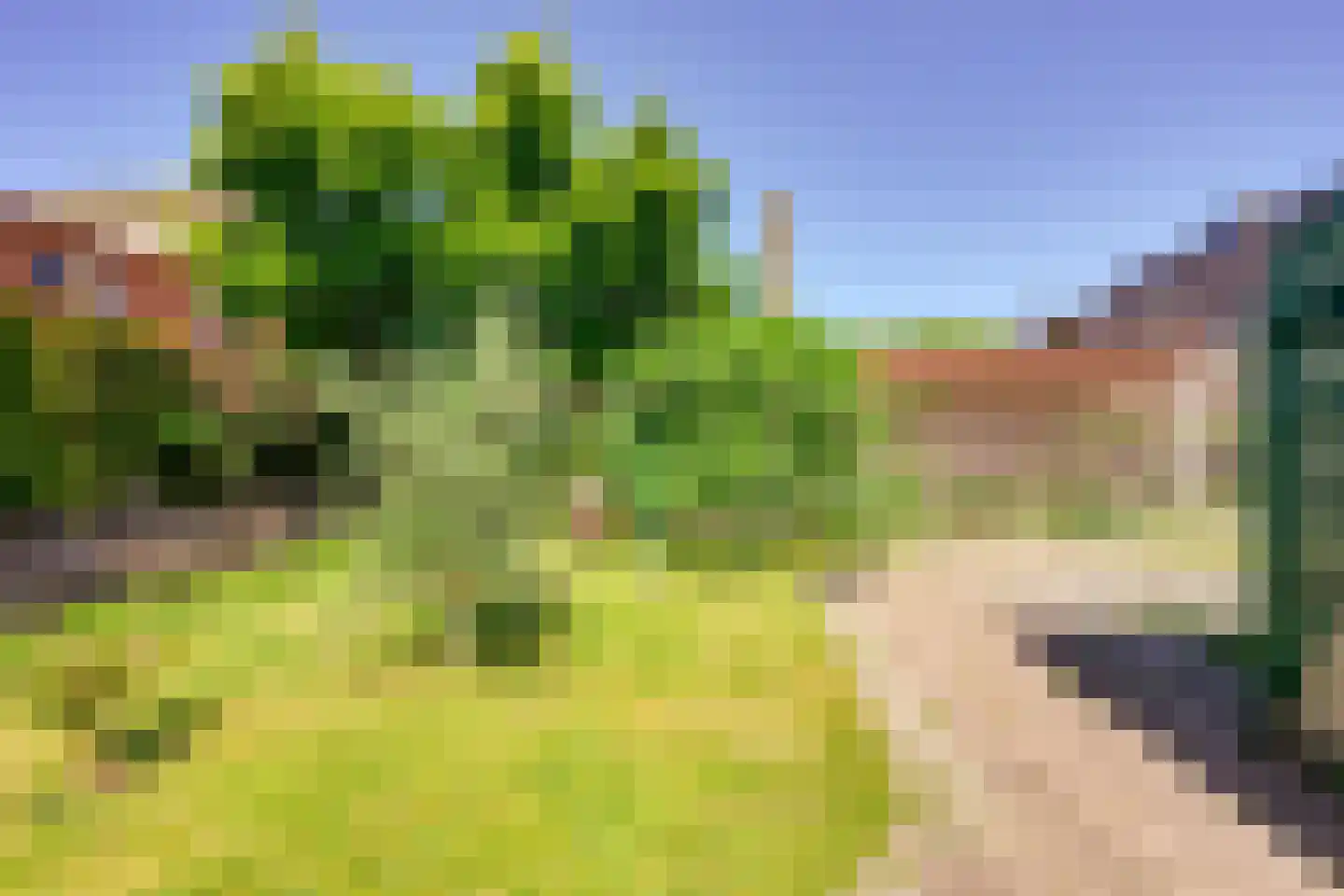 IJsseldijk 98 Krimpen aan den IJssel thumbnail 30