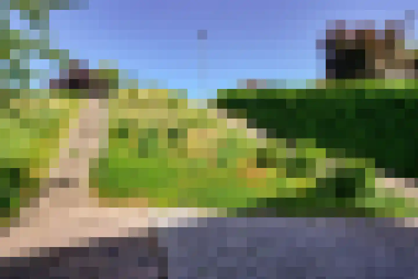 IJsseldijk 98 Krimpen aan den IJssel thumbnail 4