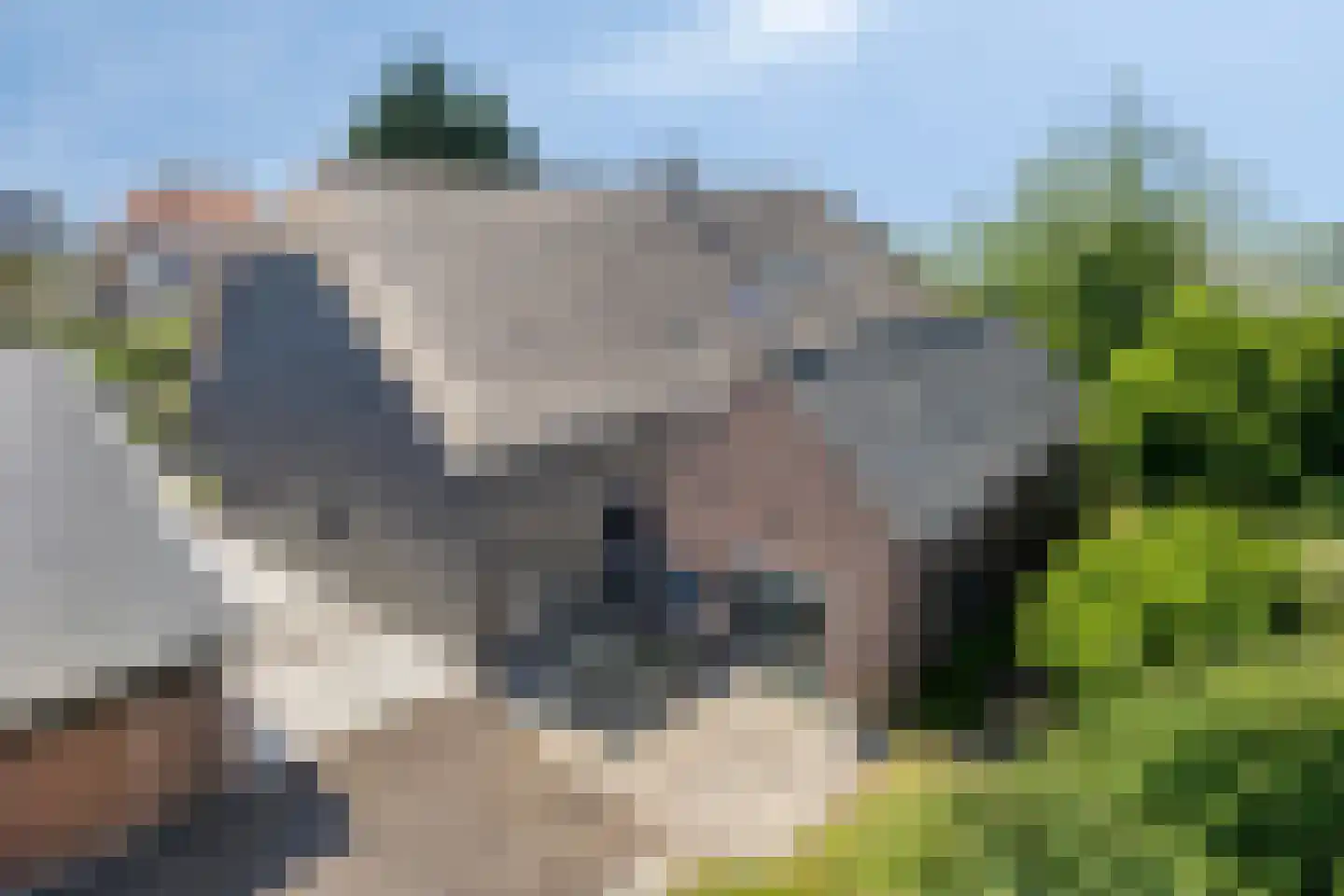 IJsseldijk-Noord 146 Ouderkerk aan den IJssel thumbnail 6