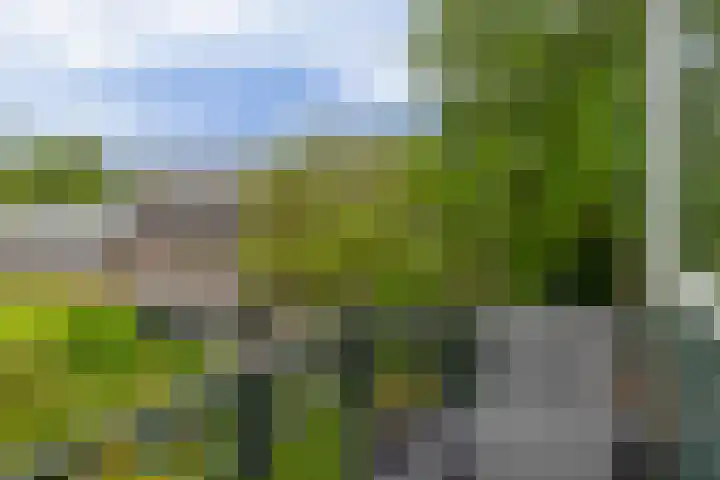 IJsseldijk-Noord 205 Ouderkerk aan den IJssel thumbnail 22
