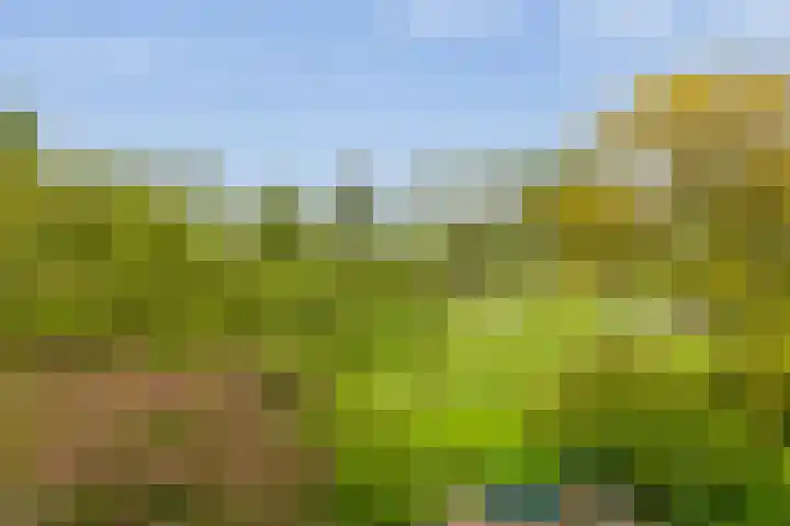 IJsseldijk-Noord 205 Ouderkerk aan den IJssel thumbnail 23