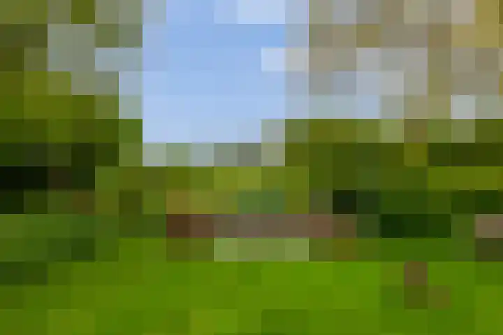 IJsseldijk-Noord 205 Ouderkerk aan den IJssel thumbnail 4