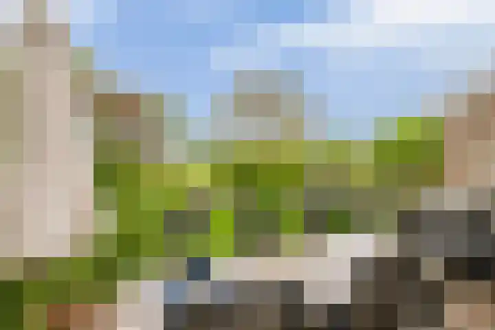 IJsseldijk-Noord 205 Ouderkerk aan den IJssel thumbnail 45