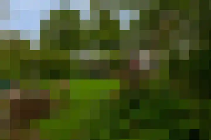 IJsseldijk-Noord 205 Ouderkerk aan den IJssel thumbnail 46