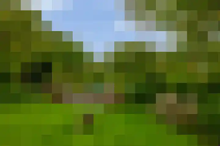IJsseldijk-Noord 205 Ouderkerk aan den IJssel thumbnail 47