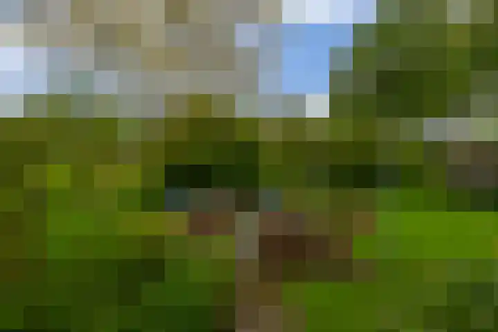IJsseldijk-Noord 205 Ouderkerk aan den IJssel thumbnail 48