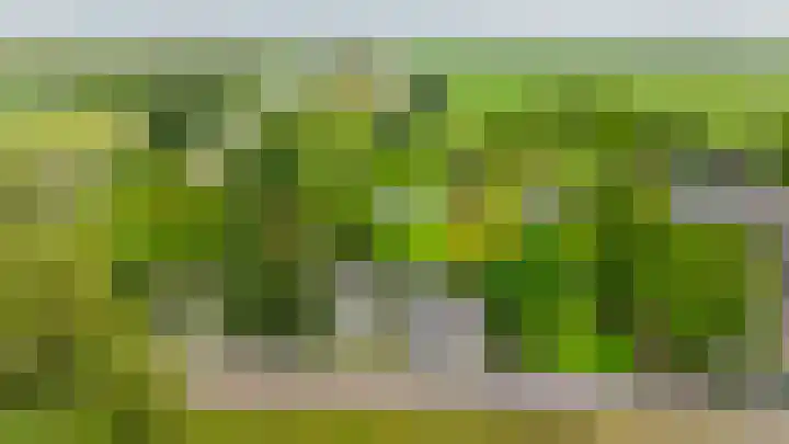 IJsseldijk-Noord 205 Ouderkerk aan den IJssel thumbnail 55