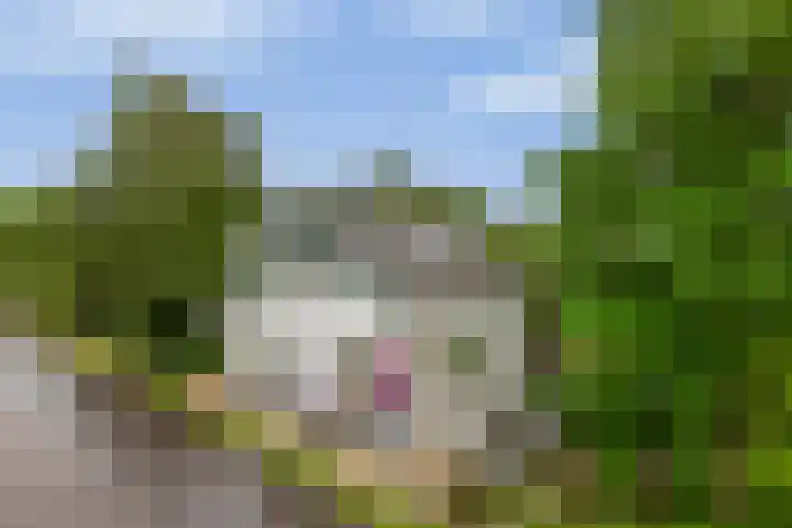 IJsseldijk-Noord 205 Ouderkerk aan den IJssel thumbnail 6